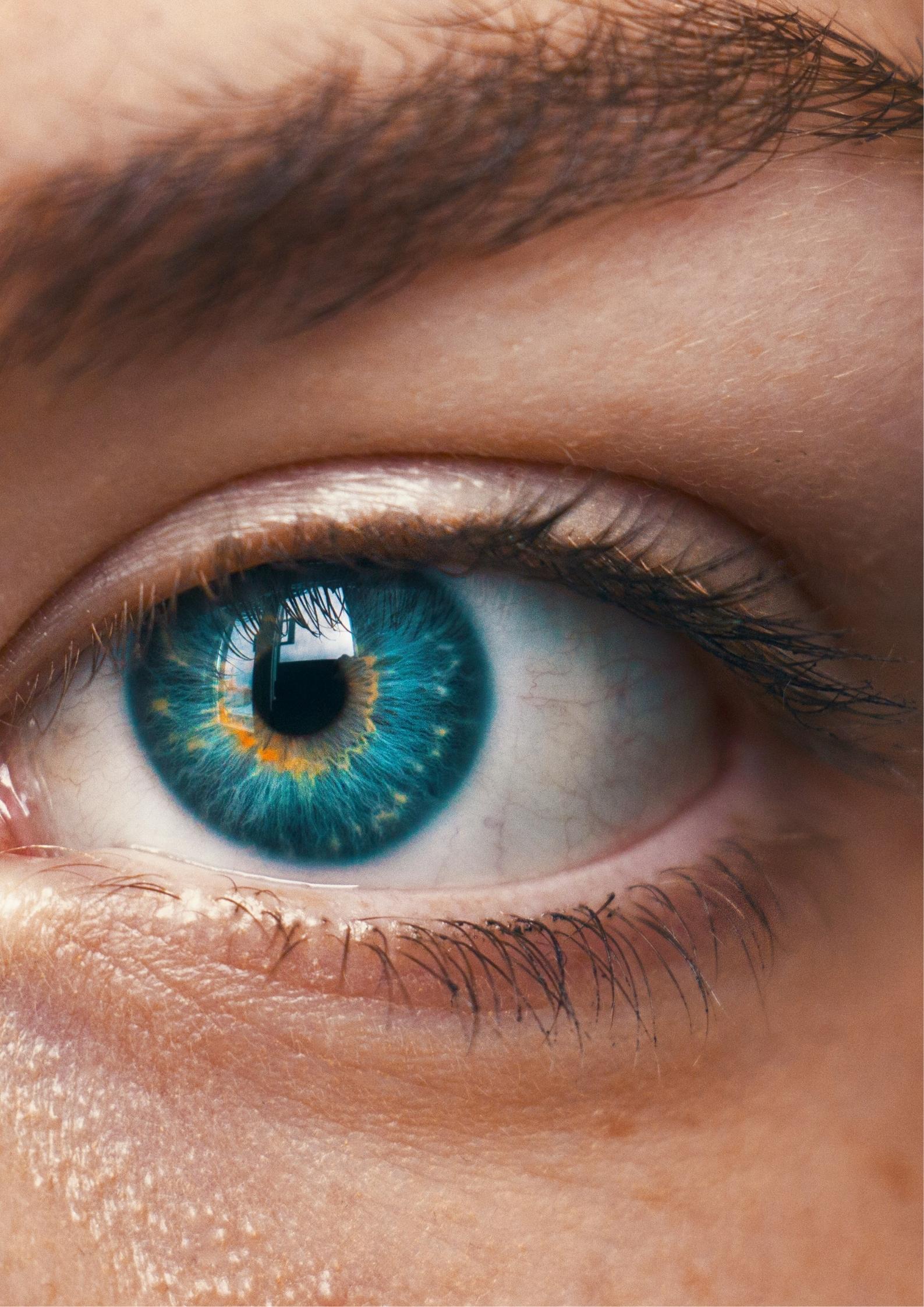 Untitled design (19)